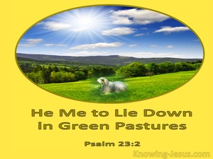Psalm 23:2